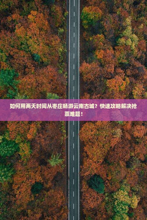 如何用两天时间从枣庄畅游云南古城？快速攻略解决抢票难题！