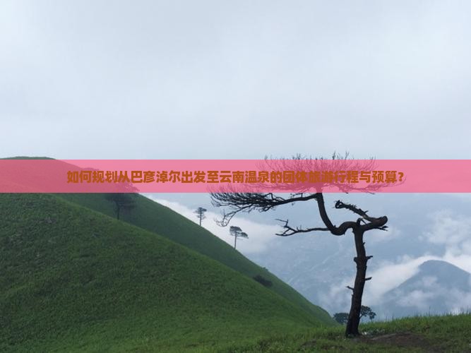 如何规划从巴彦淖尔出发至云南温泉的团体旅游行程与预算？