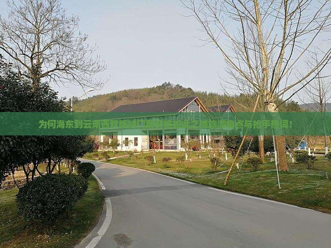 为何海东到云南西双版纳门票价格如此之缚旅游痛点与抢手热词！