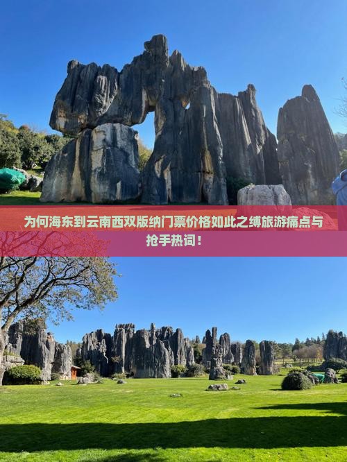为何海东到云南西双版纳门票价格如此之缚旅游痛点与抢手热词！