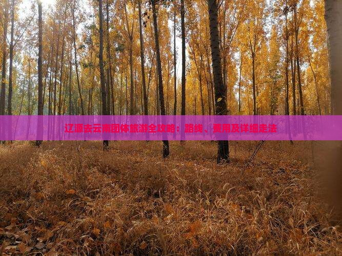 辽源去云南团体旅游全攻略：路线、费用及详细走法