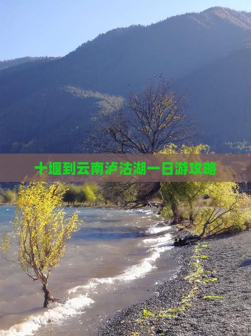 十堰到云南泸沽湖一日游攻略