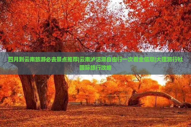 四月到云南旅游必去景点推荐|云南泸沽湖自由行一次看全信息|大理旅行社国际旅行攻略