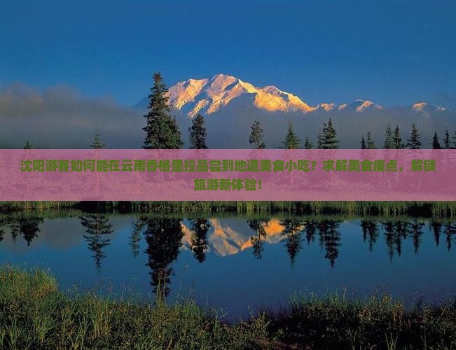 沈阳游客如何能在云南香格里拉品尝到地道美食小吃？求解美食痛点，解锁旅游新体验！