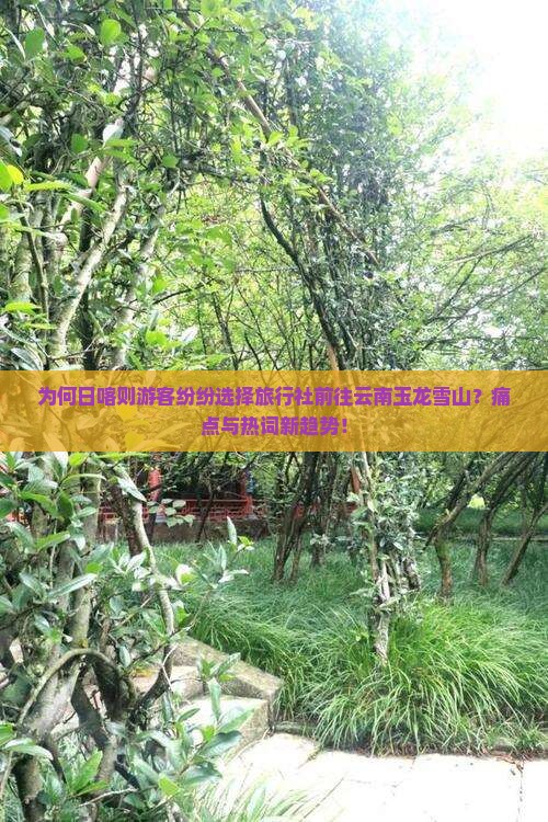 为何日喀则游客纷纷选择旅行社前往云南玉龙雪山？痛点与热词新趋势！