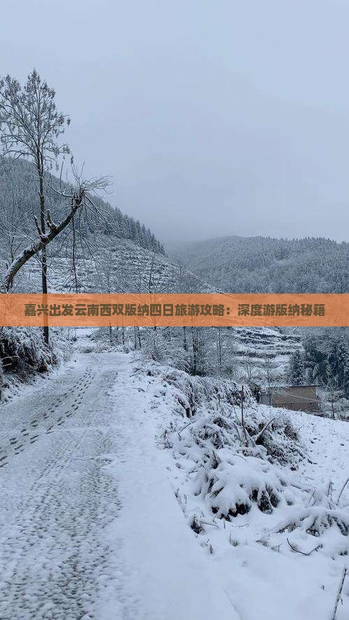 嘉兴出发云南西双版纳四日旅游攻略：深度游版纳秘籍