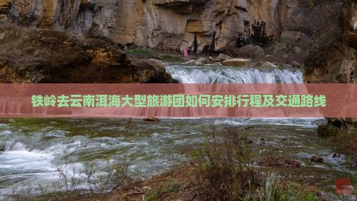 铁岭去云南洱海大型旅游团如何安排行程及交通路线