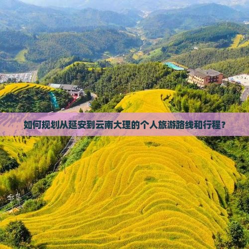 如何规划从延安到云南大理的个人旅游路线和行程？