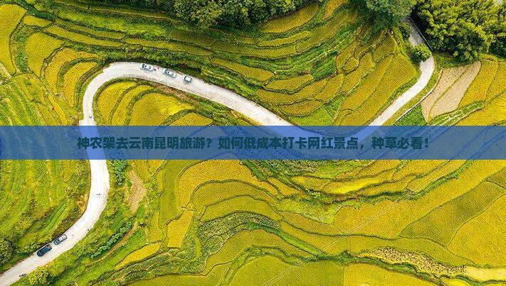 神农架去云南昆明旅游？如何低成本打卡网红景点，种草必看！