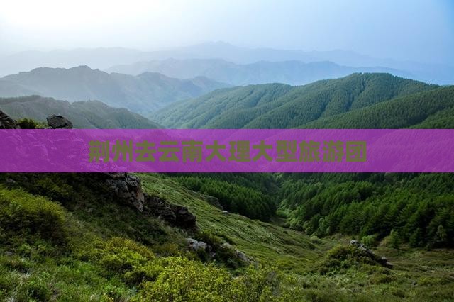 荆州去云南大理大型旅游团