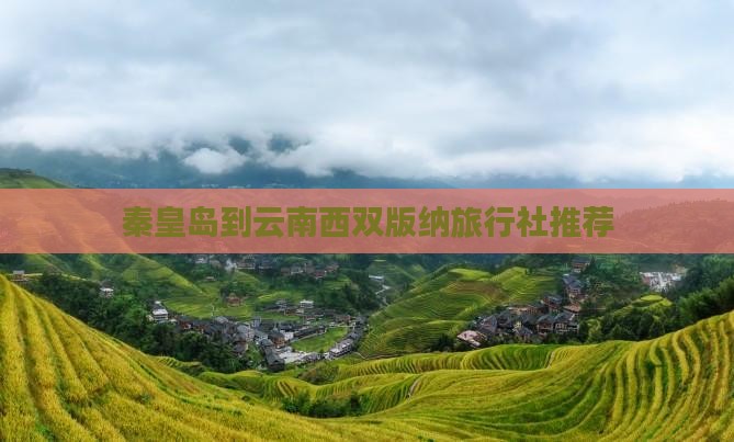 秦皇岛到云南西双版纳旅行社推荐