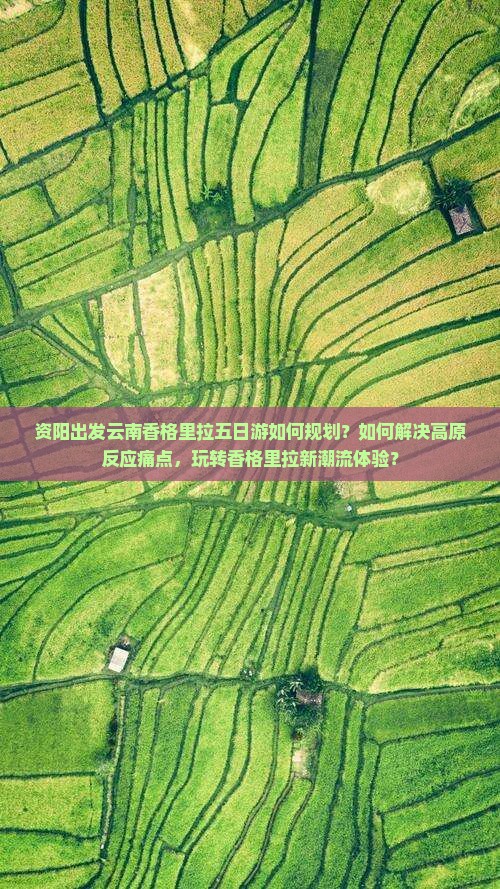 资阳出发云南香格里拉五日游如何规划？如何解决高原反应痛点，玩转香格里拉新潮流体验？