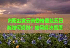 资阳出发云南香格里拉五日游如何规划？如何解决高原反应痛点，玩转香格里拉新潮流体验？