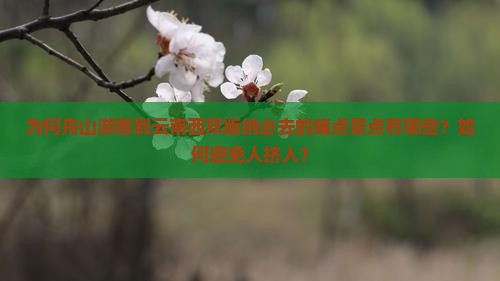 为何舟山游客到云南西双版纳必去的痛点景点有哪些？如何避免人挤人？