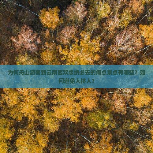 为何舟山游客到云南西双版纳必去的痛点景点有哪些？如何避免人挤人？