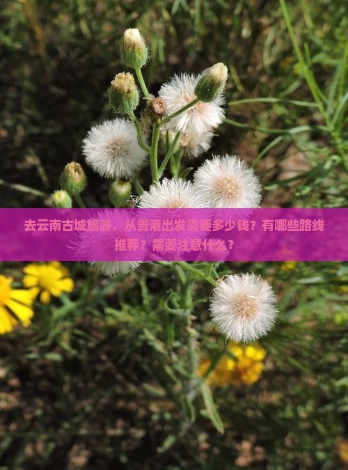 去云南古城旅游，从贵港出发需要多少钱？有哪些路线推荐？需要注意什么？