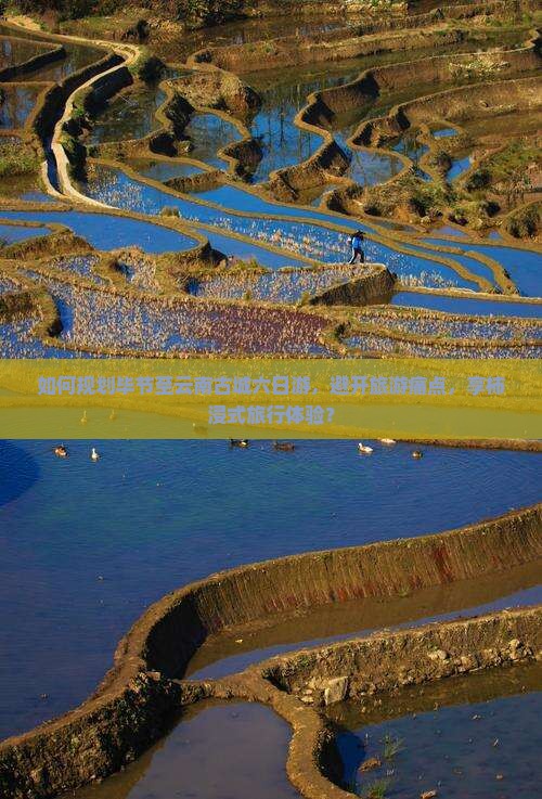 如何规划毕节至云南古城六日游，避开旅游痛点，享柿浸式旅行体验？