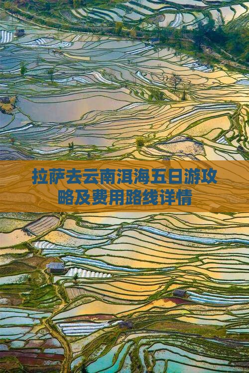 拉萨去云南洱海五日游攻略及费用路线详情