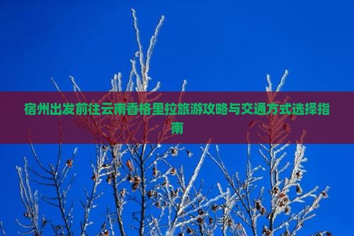 宿州出发前往云南香格里拉旅游攻略与交通方式选择指南