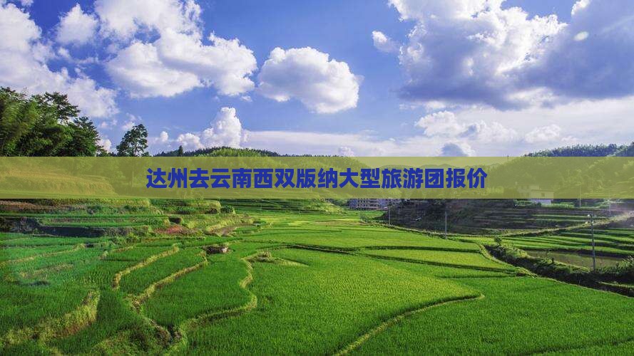 达州去云南西双版纳大型旅游团报价