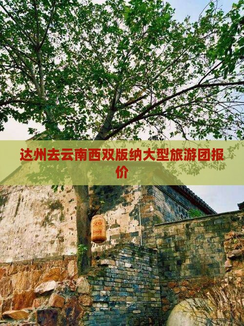 达州去云南西双版纳大型旅游团报价