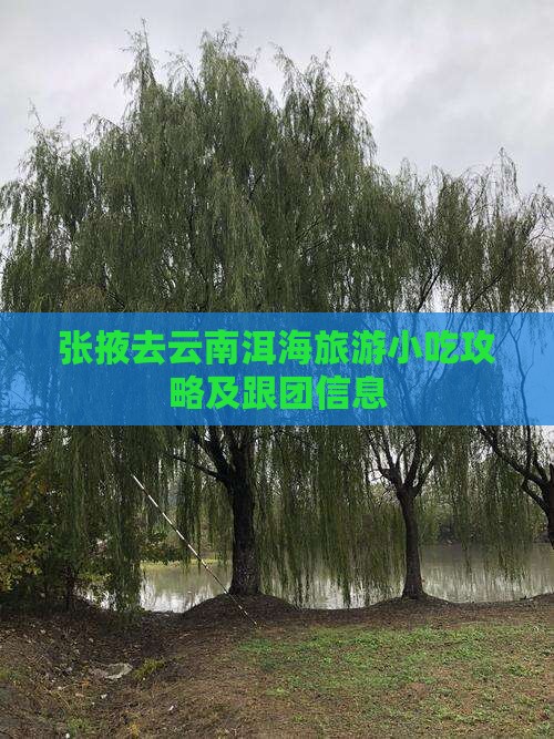 张掖去云南洱海旅游小吃攻略及跟团信息
