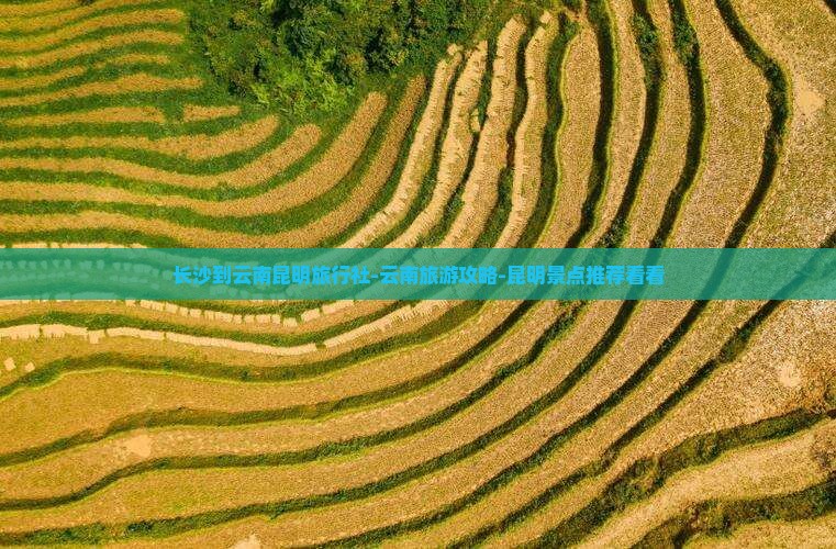 长沙到云南昆明旅行社-云南旅游攻略-昆明景点推荐看看