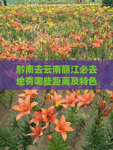 黔南去云南丽江必去地有哪些距离及特色介绍