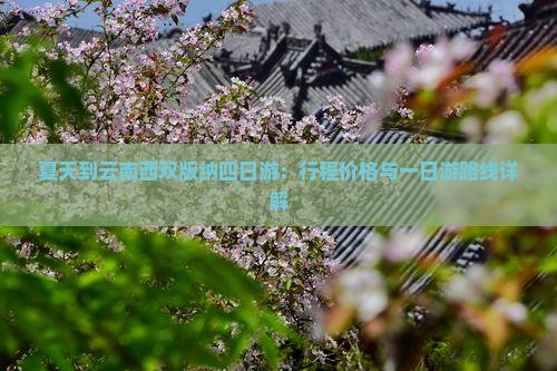 夏天到云南西双版纳四日游：行程价格与一日游路线详解