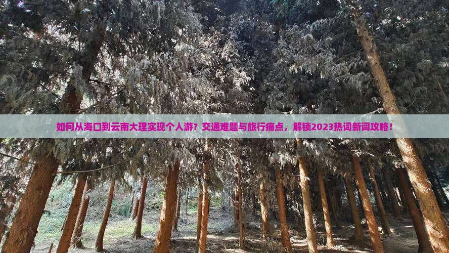 如何从海口到云南大理实现个人游？交通难题与旅行痛点，解锁2023热词新词攻略！