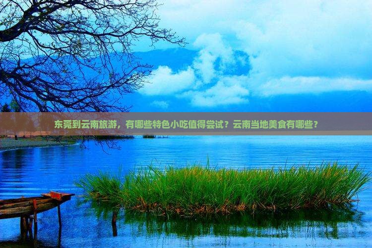 东莞到云南旅游，有哪些特色小吃值得尝试？云南当地美食有哪些？