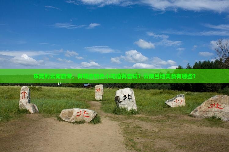 东莞到云南旅游，有哪些特色小吃值得尝试？云南当地美食有哪些？