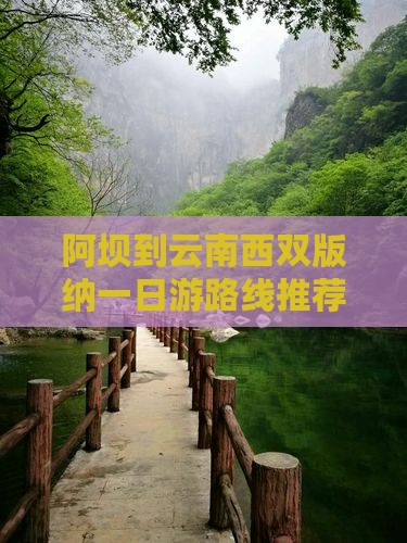 阿坝到云南西双版纳一日游路线推荐