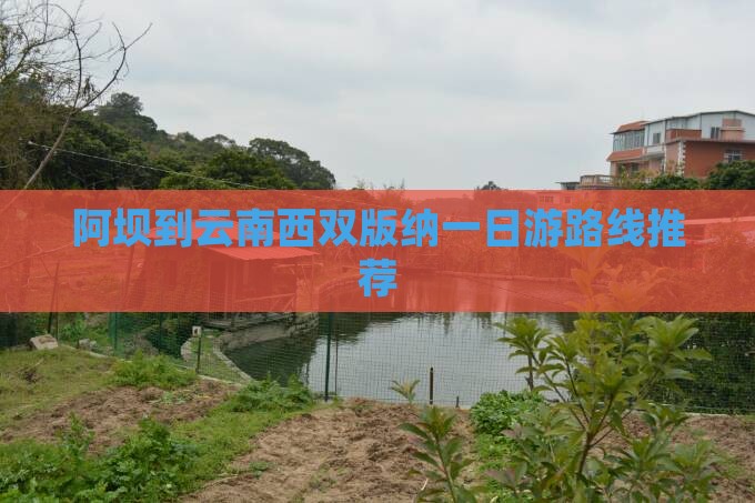 阿坝到云南西双版纳一日游路线推荐