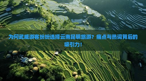 为何武威游客纷纷选择云南昆明旅游？痛点与热词背后的吸引力！