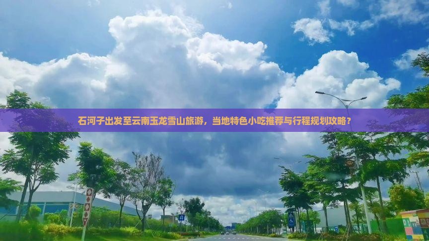 石河子出发至云南玉龙雪山旅游，当地特色小吃推荐与行程规划攻略？