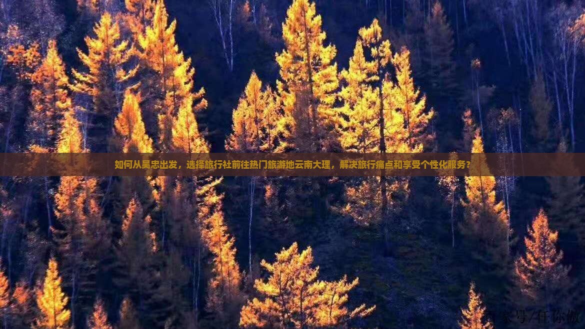 如何从吴忠出发，选择旅行社前往热门旅游地云南大理，解决旅行痛点和享受个性化服务？