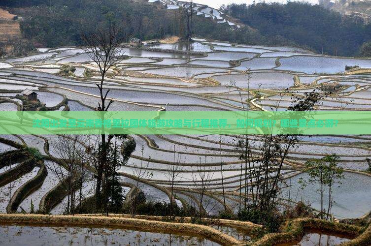 沈阳出发至云南香格里拉团体旅游攻略与行程推荐，如何规划？哪些景点必游？