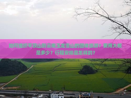 如何组织平顶山到云南玉龙雪山的团体旅游？费用大概是多少？行程安排是怎样的？