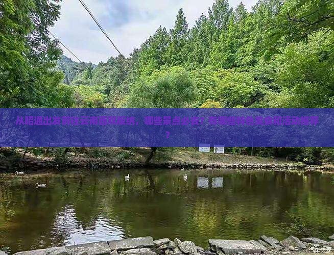 从昭通出发前往云南西双版纳，哪些景点必去？有哪些特色美食和活动推荐？