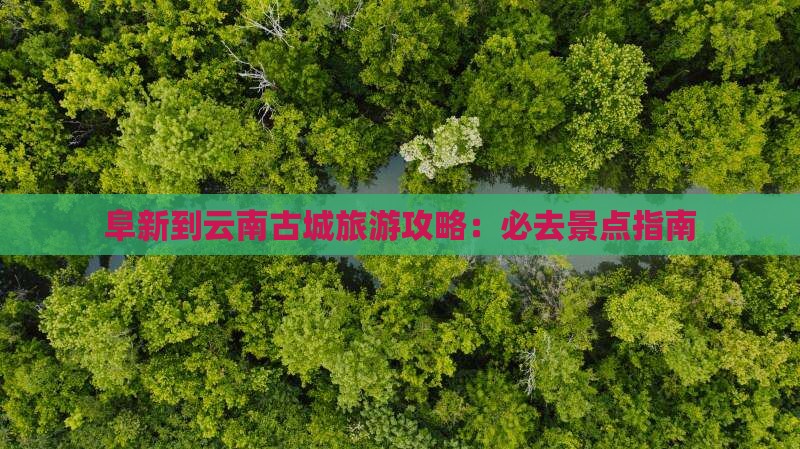 阜新到云南古城旅游攻略：必去景点指南
