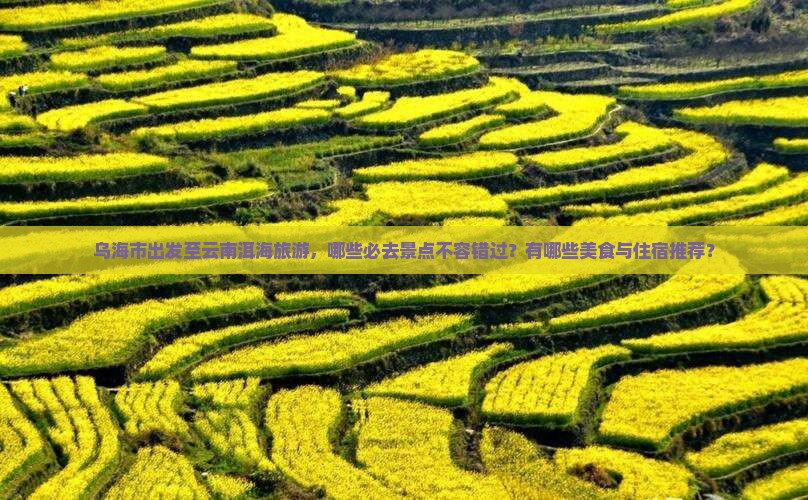 乌海市出发至云南洱海旅游，哪些必去景点不容错过？有哪些美食与住宿推荐？
