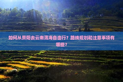 如何从贵阳去云南洱海自由行？路线规划和注意事项有哪些？