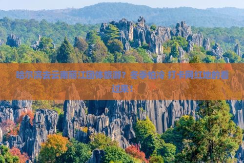 哈尔滨去云南丽江团体旅游？冬季怕冷+打卡网红地的看过来！