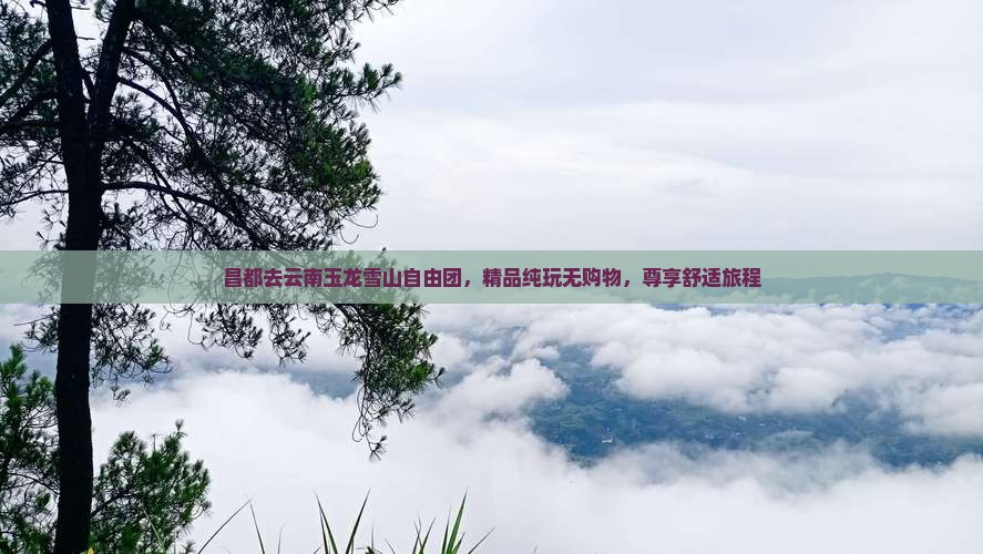 昌都去云南玉龙雪山自由团，精品纯玩无购物，尊享舒适旅程
