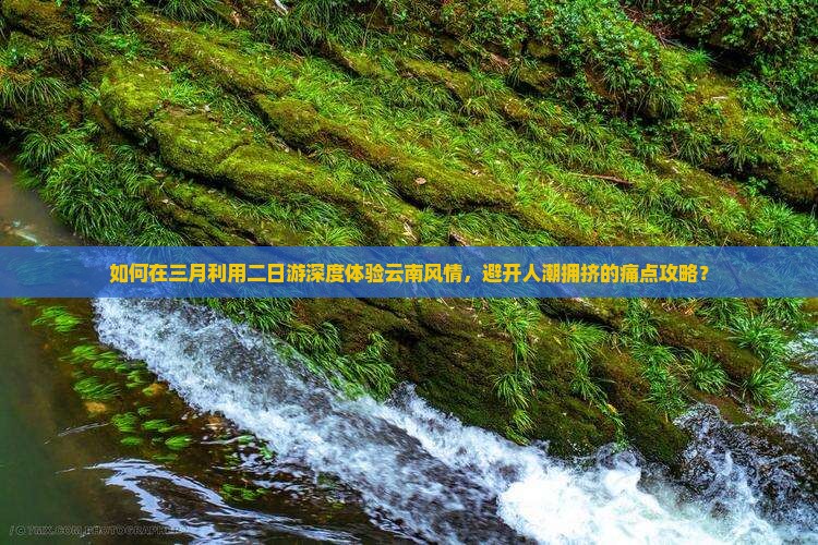 如何在三月利用二日游深度体验云南风情，避开人潮拥挤的痛点攻略？