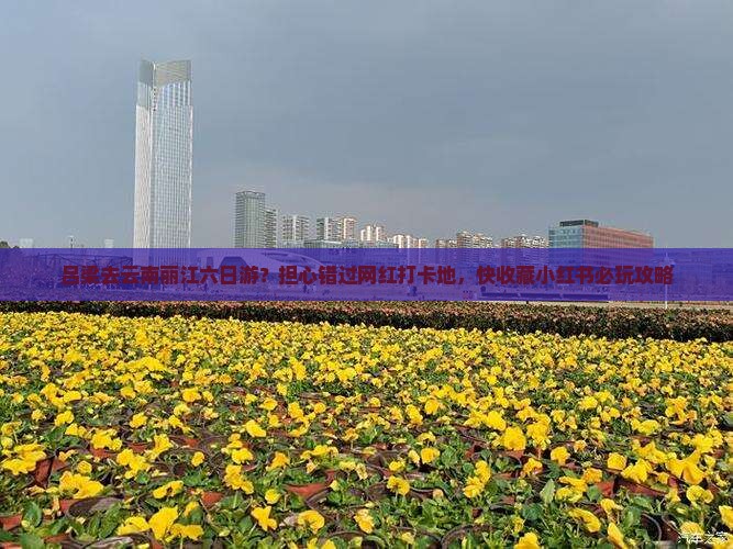 吕梁去云南丽江六日游？担心错过网红打卡地，快收藏小红书必玩攻略
