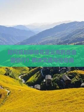 如何规划攀枝花至云南的自由团旅行？解决交通与住宿痛点，享受个性化旅行新体验！