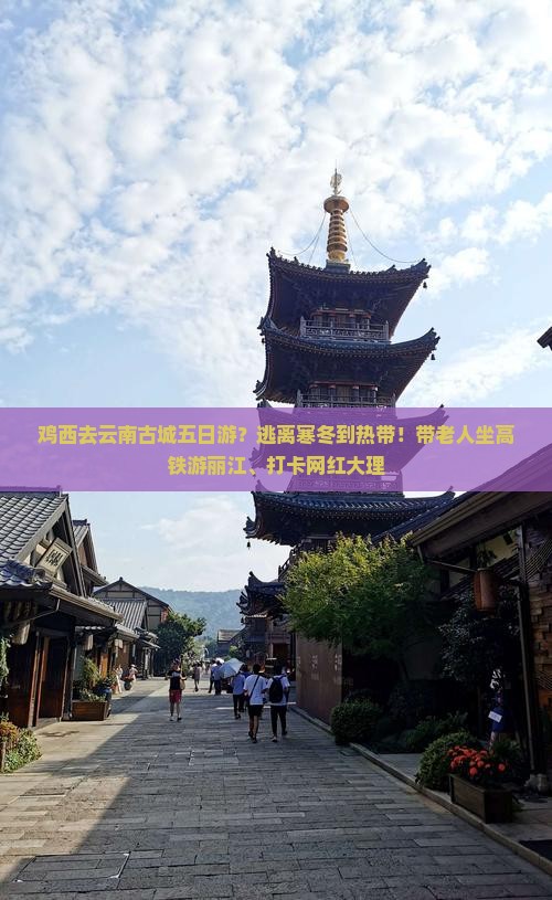 鸡西去云南古城五日游？逃离寒冬到热带！带老人坐高铁游丽江、打卡网红大理
