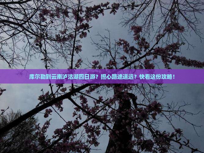 库尔勒到云南泸沽湖四日游？担心路途遥远？快看这份攻略！